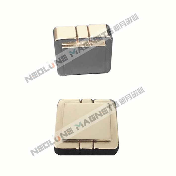 Halbach  Magnets  Assy
