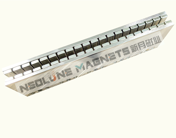 Linear motor assembly